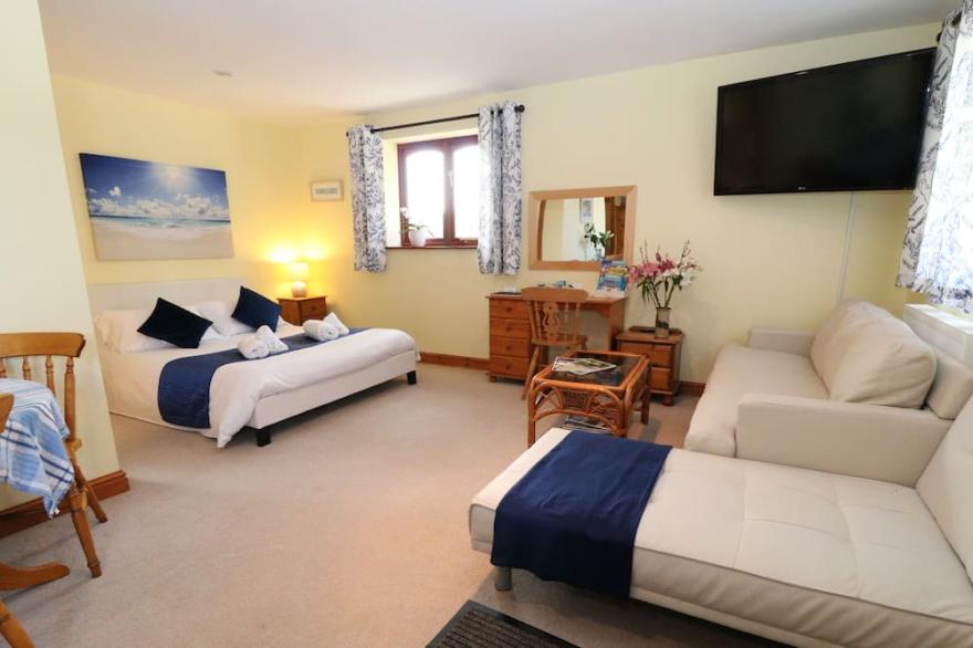 Patio/BBQ, use of Tiny Wood & Firepit,  Dartmoor/Bodmin & Coast 30min