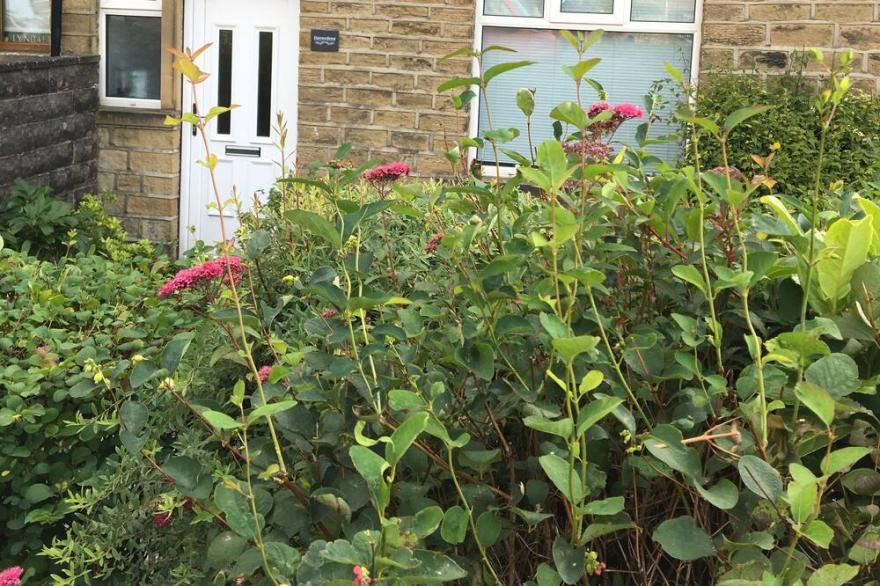 Havendene in Haworth - Beautiful and Charming House in Heart of Bronte Country