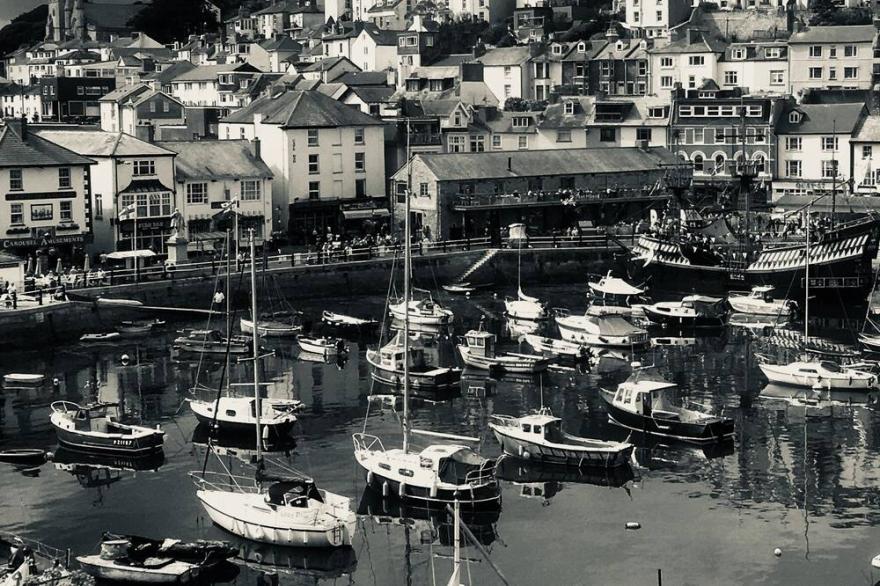 Stylish family cottage with stunning views of Brixham harbour. Dogs welcome.