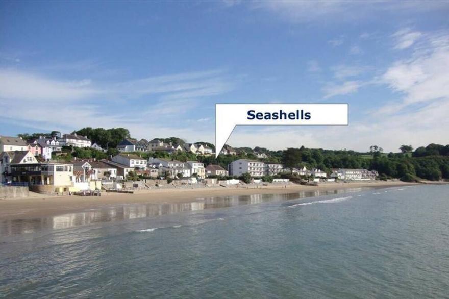 Seashells in Saundersfoot