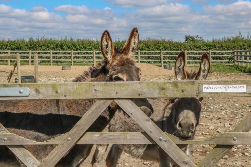 MUMPUSS, family friendly, country holiday cottage in Halwill Junction