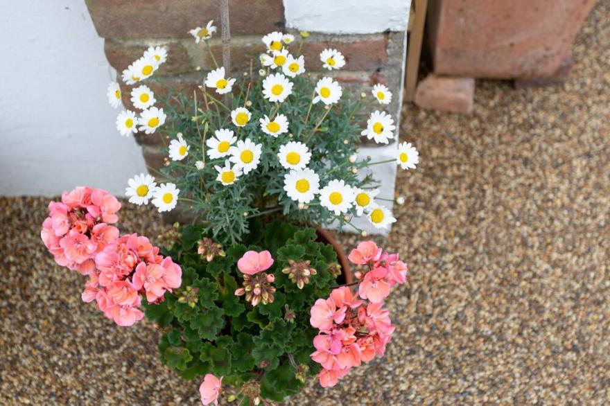 LITTLE ENGLAND COTTAGE, pet friendly in Milborne St Andrew