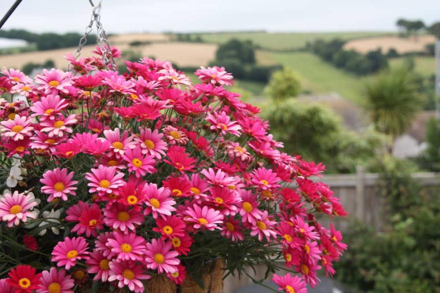 LINTON - 3 bed, 3 ensuite. Sleeps 6. Short walk to harbour, beach and coast path