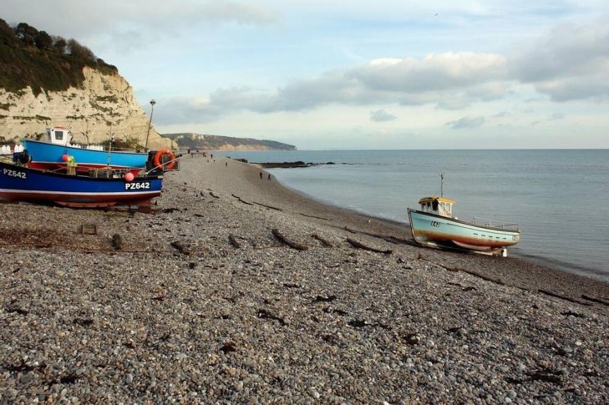 THE MARGARETS, pet friendly, country holiday cottage in Beer