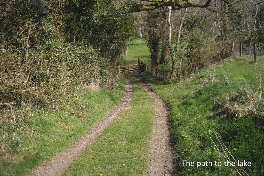 THE LINHAY, pet friendly, character holiday cottage in Throwleigh