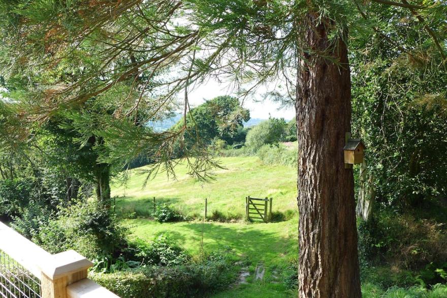 LITTLE EVANSES, family friendly, country holiday cottage in Dalwood