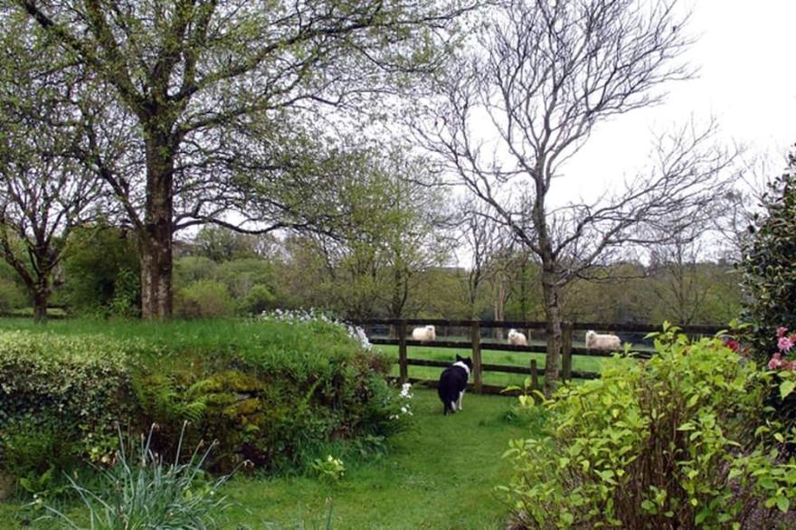 BURHAM BARN, romantic, luxury holiday cottage in Dousland