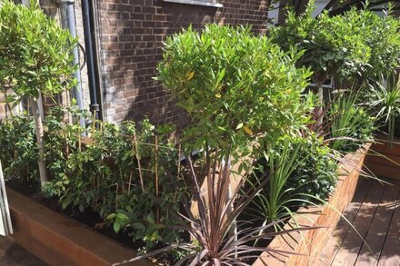 Big Hyde Park flat with outside space