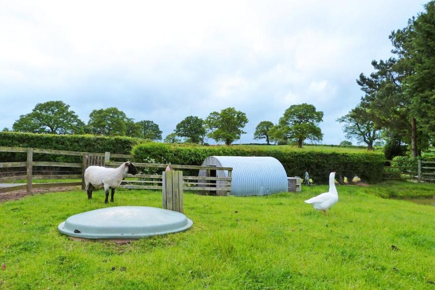 Llety'r Dderwen - Two Bedroom House, Sleeps 4