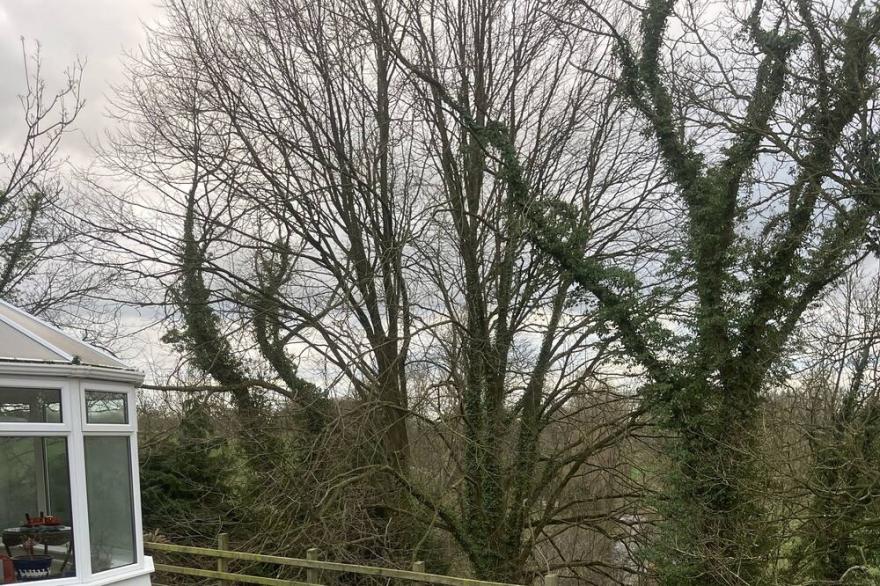Livery Lodge close to The Dark Hedges