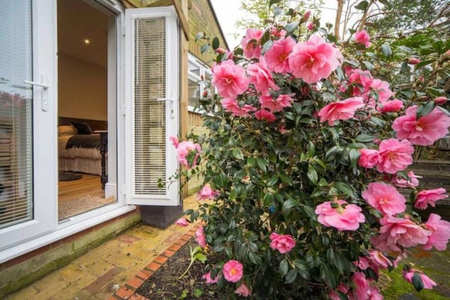 Scaw Fell, boutique 1bed studio