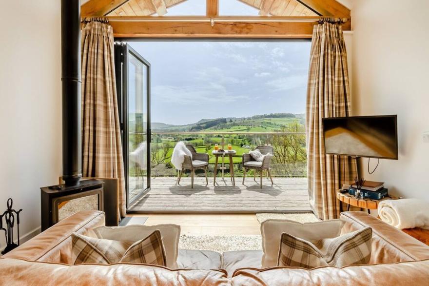 1 bedroom accommodation in Llangyniew