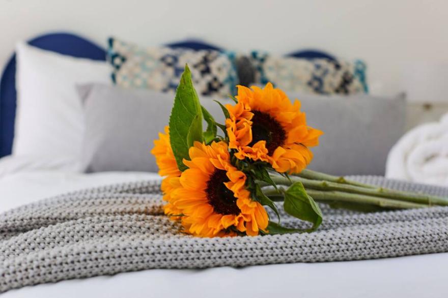 Stylish one bedroom apartment in Greater London