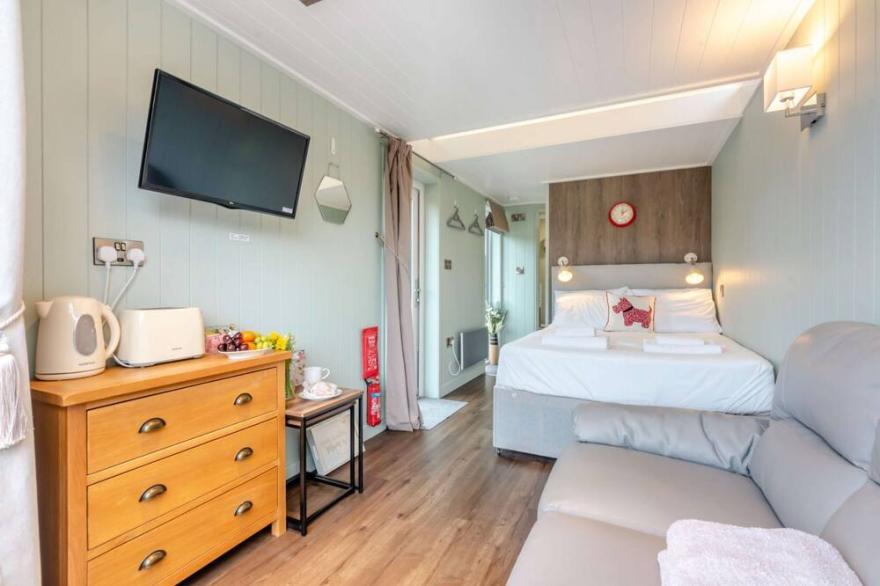 Cosy studio lodge with hot tub - Hydrangea