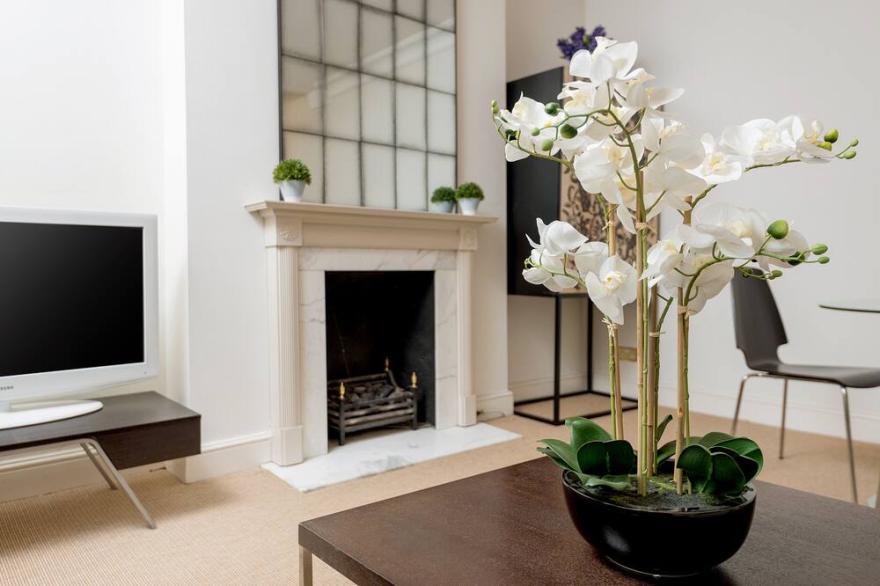 Experience Serenity and Comfort in Our Cozy, Spacious, Quiet and Bright Flat.