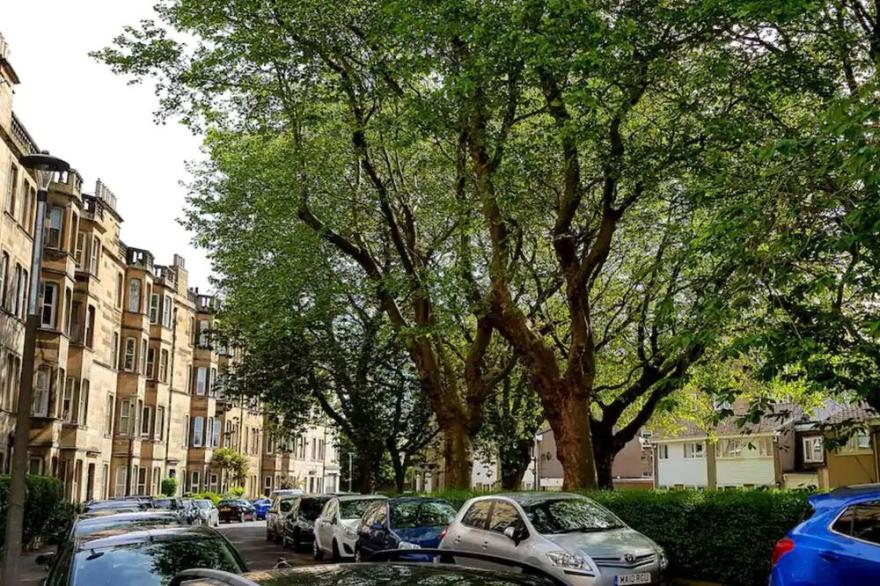 Newly renovated 1 Bedroom Apartment Near Charming Newhaven