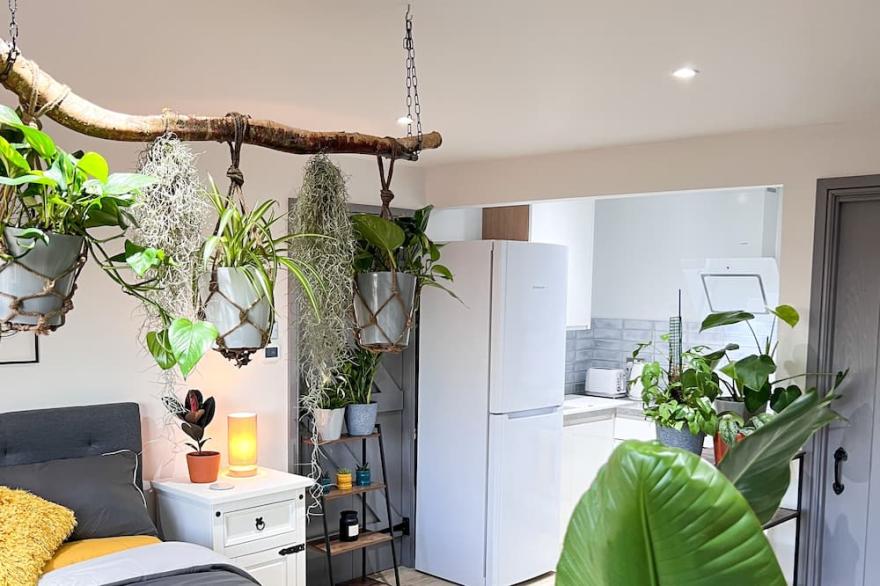 Aplanty Studio in the Orchard - In the heart of The Fens