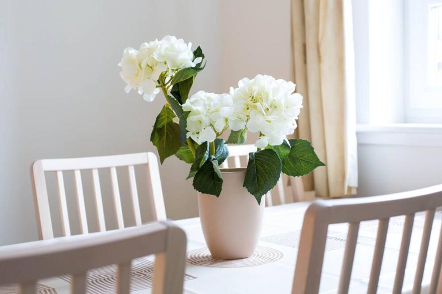 Powderhall,  Canonmills Apartment