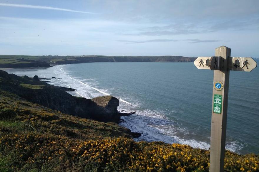 Coastal treetop cabin, spectacular views, walks from door