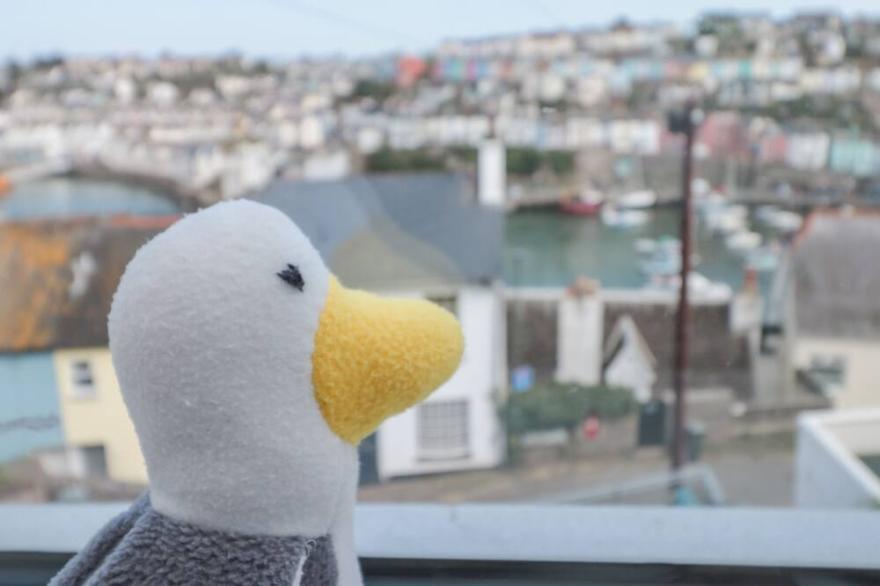 2 NORTH FURZEHAM ROAD, pet friendly, with a garden in Brixham