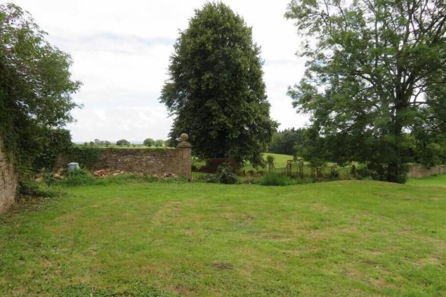 Peaceful Country Cottage in the Forest of Dean