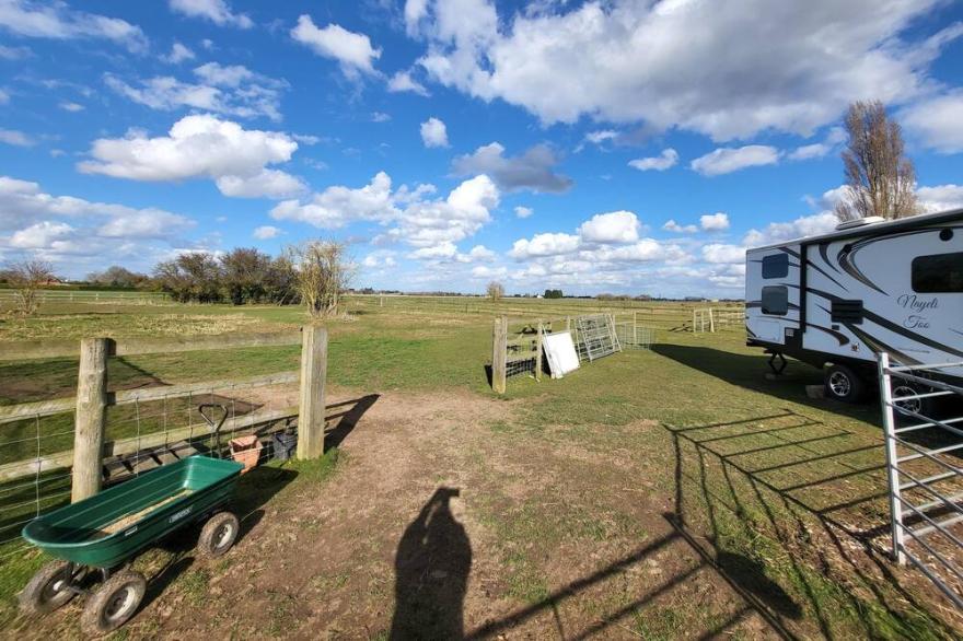 Farm stay amongst friendly llamas