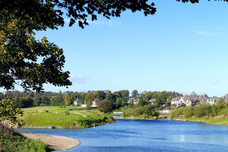 HORSEMARKET APARTMENT, pet friendly, with open fire in Kelso