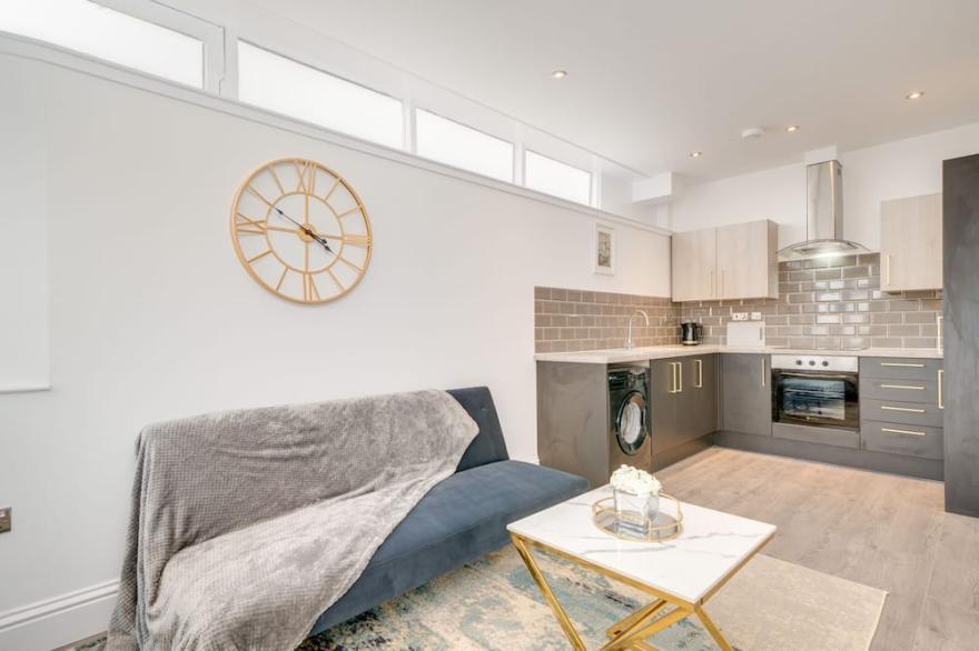 Luxury One Bedroom Apartment