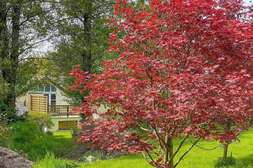 2 bedroom accommodation in Lostwithiel