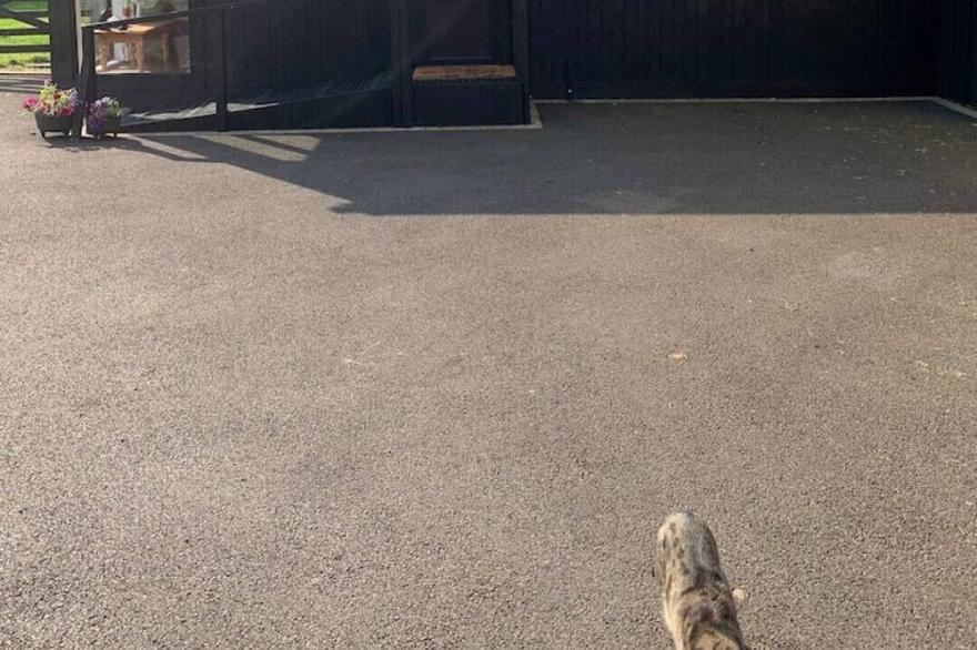 Cosy Country Cabin, rural but only 20 mins from Belfast