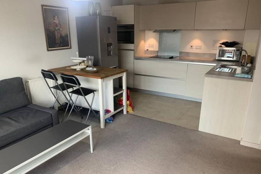 1 Bedroom Apartment in Mile End