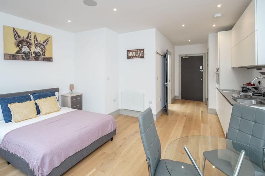 Stylish Studio Flat In Seven Sisters