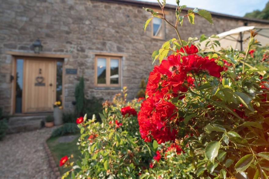 MAY BLOSSOM BARN, family friendly, with open fire in Lustleigh
