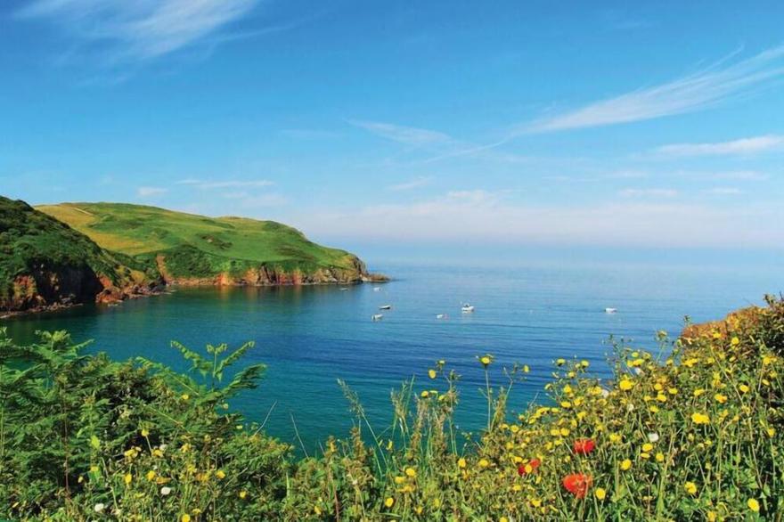 SEAGRASS, THORNLEA MEWS, pet friendly, with open fire in Hope Cove