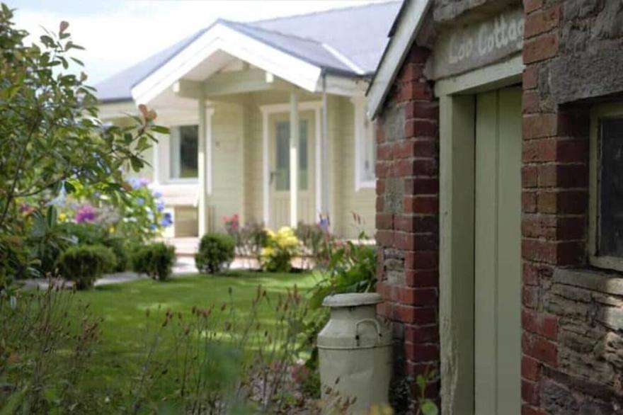 Daisy Lodge & Hot Tub, reduced nightly price!