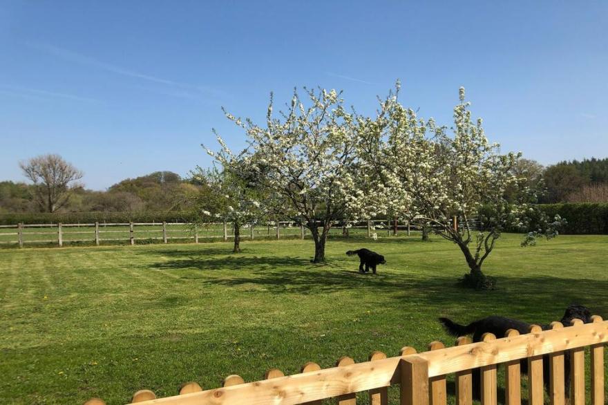 1 BARN COTTAGES, pet friendly, luxury holiday cottage in Whitchurch