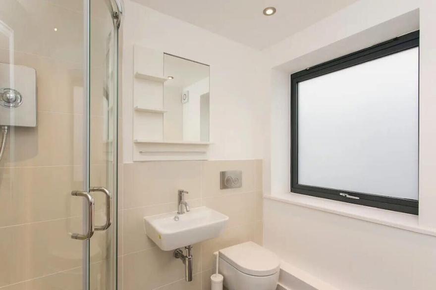 Spacious modern studio flat with terrace in Manor House