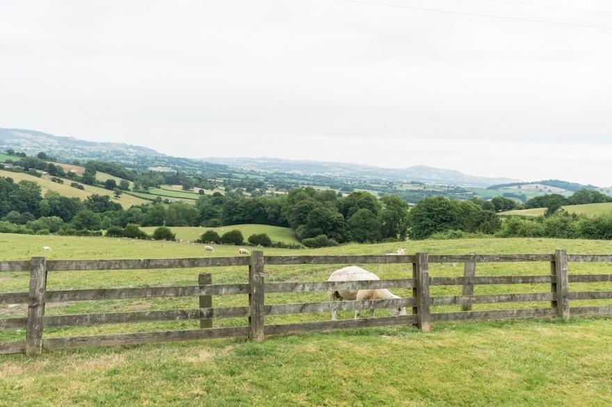 WAGGONERS COTTAGE, family friendly, with hot tub in Garthmyl
