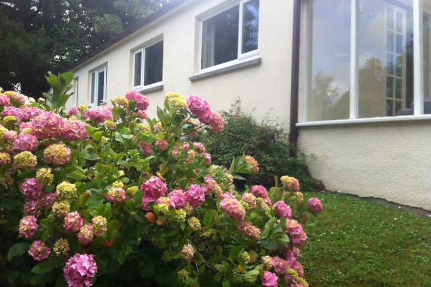 2 Bed, Pet Friendly, Hot tub, Secure Garden, Parking, Padstow, SATURDAY CHANGE