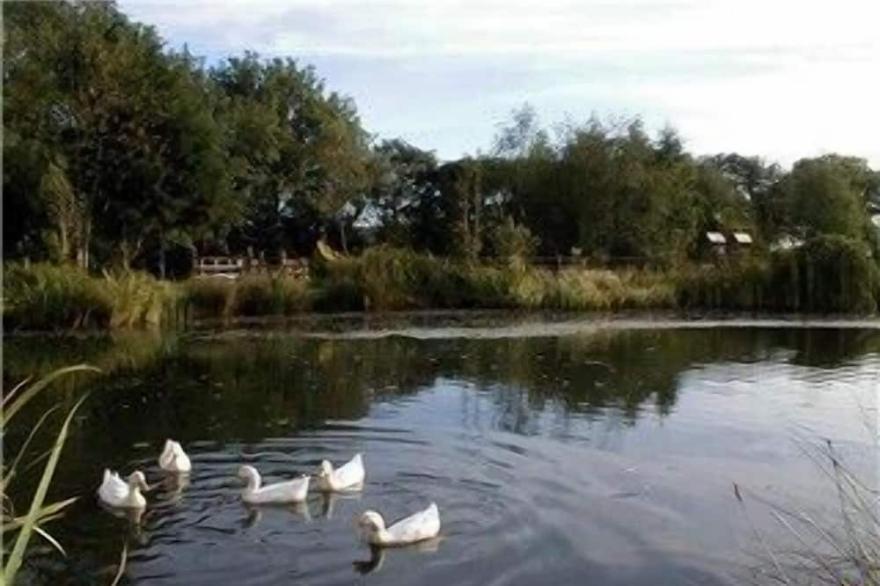 Ash - Luxury cottage with great views,  with fishing, indoor pool & gym.