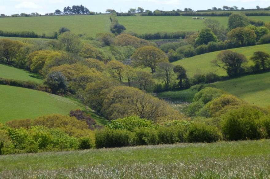 Country cottage near Boscastle  with parking, free WiFi & 6ft Bed