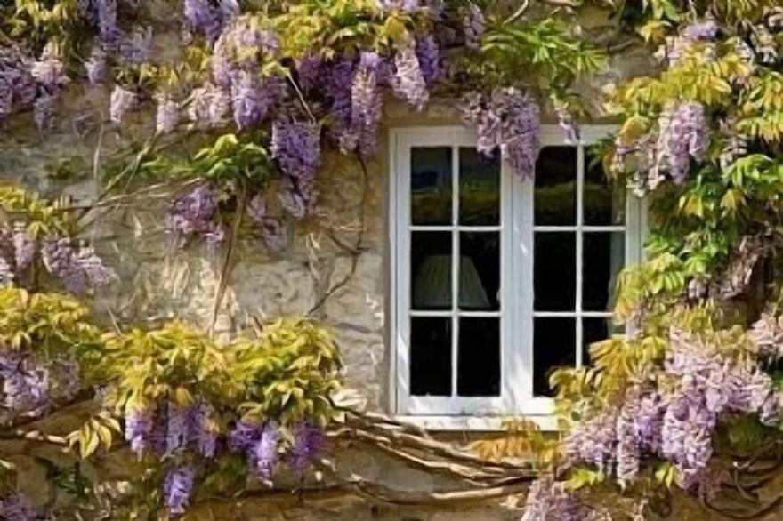 Sunbeam Cottage nestling in the heart of Branscombe village with a parking space