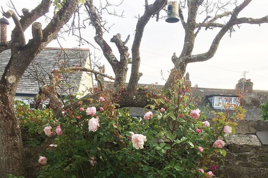 Primrose Cottage: 6-bed traditional seaside cottage with garden