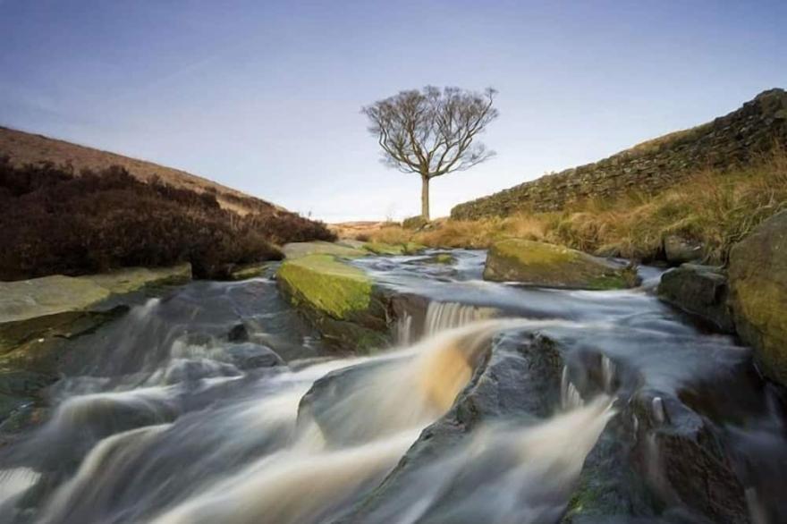 Willow Cottage Style Lodge in Yorkshire Dales, sleeps up to 4, family & pet friendly