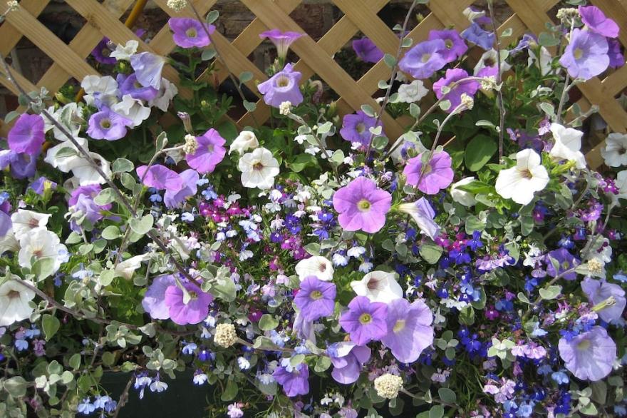 The Old Forge,  3 Bed Modern Barn Conversion in The Yorkshire Wolds