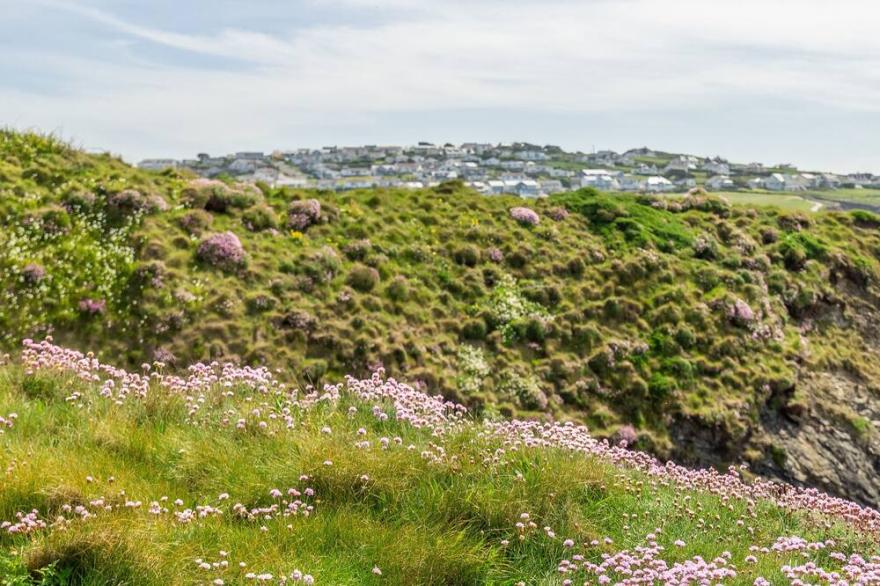 A well-presented family home located within walking distance of Daymer Bay.