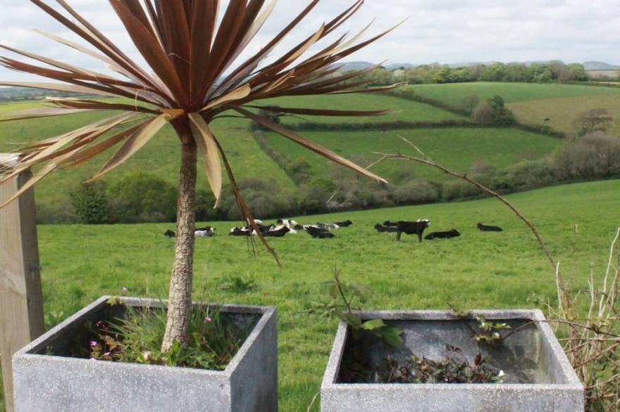 Light Airy Modern Cottage: comfortable interior, village centre, great local pub