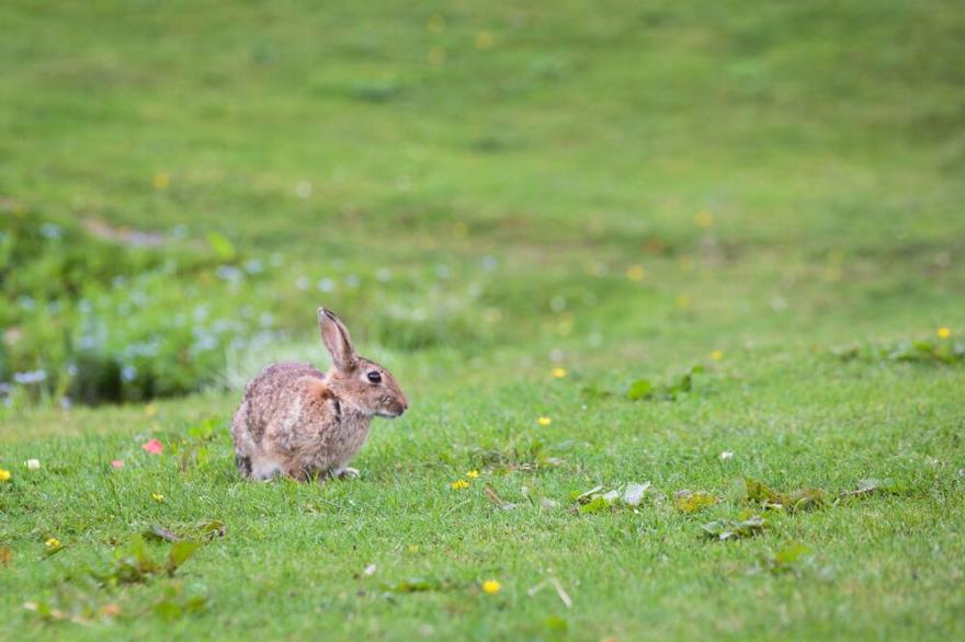 A yorkshire dale that sleeps 6 guests  in 3 bedrooms