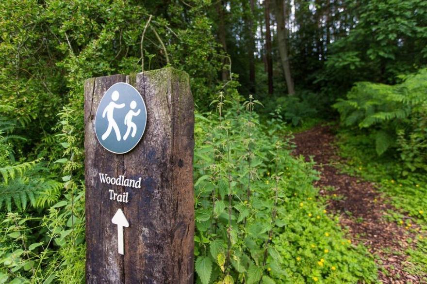 A yorkshire dale that sleeps 6 guests  in 3 bedrooms