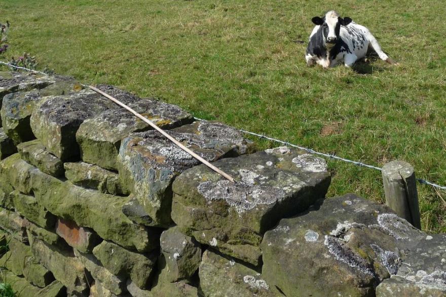 Tranquil 3 Bedroom Cottage With Garden In North Yorkhire, Near Whitby